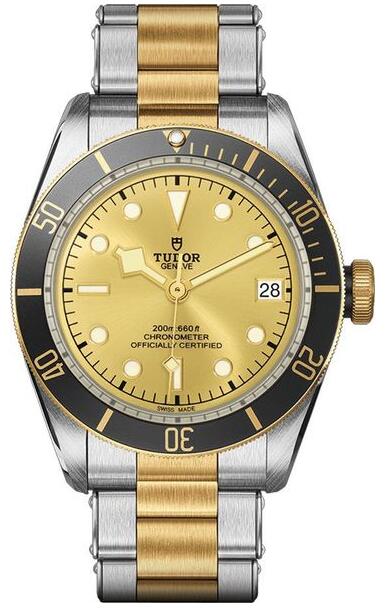 Tudor Heritage M79733N-0004 Black Bay S G Champagne Dial Replica watch